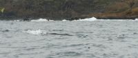 PICTURES/Whale Watching - Depoe Bay/t_Back1.JPG